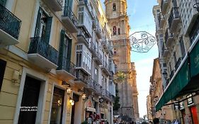 Luxury Catedral